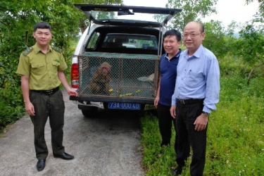 Tiếp nhận động vật hoang dã từ cộng đồng để cứu hộ và thả về môi trường từ nhiên tại Vườn quốc gia Phong Nha - Kẻ Bàng